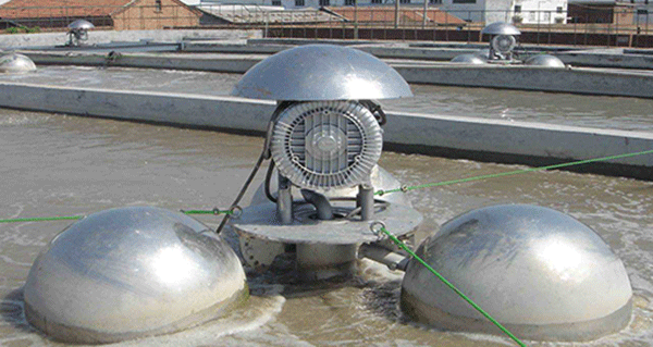 如何根據(jù)西瑪電機(jī)的外表來檢查防護(hù)等級的一致性？